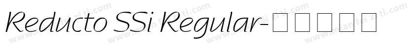 Reducto SSi Regular字体转换